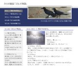 カラスの童話