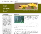 自然のささやき